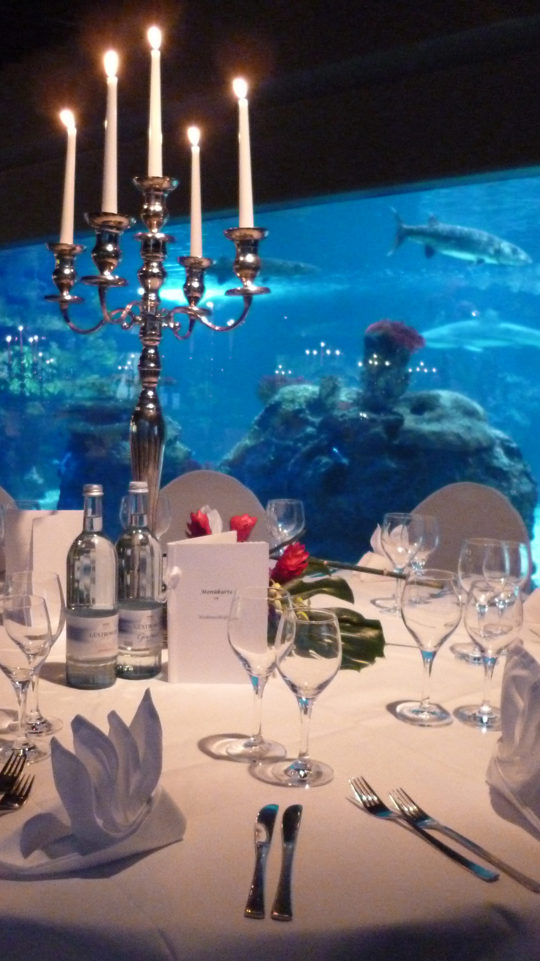 Gala Event Dinner Weihnachtsfeier Aquarium